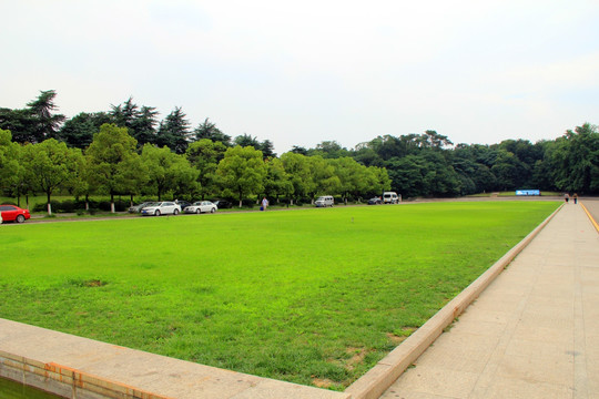 雨花台 草坪