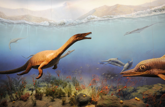 三叠纪时期 海洋爬行动物