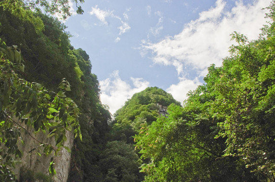 太白山森林公园