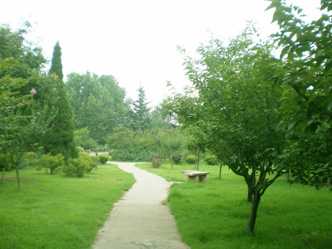 公园小路