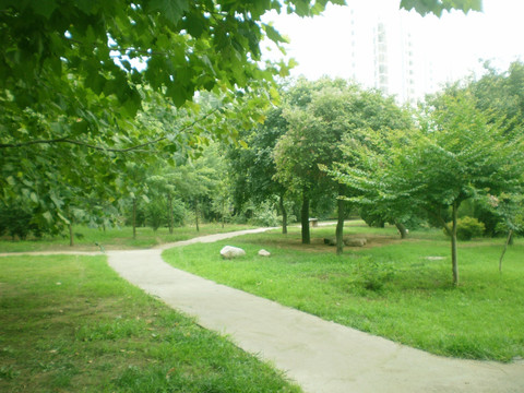 公园小路