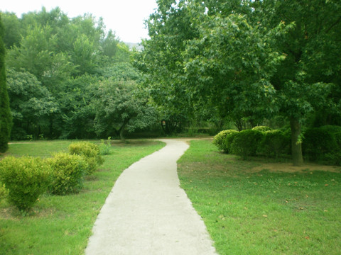 公园小路