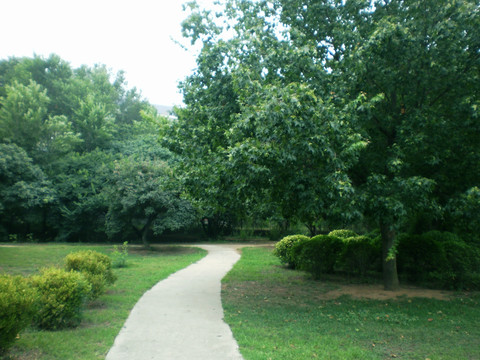 公园小路