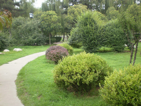 公园小路