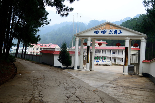森林公园