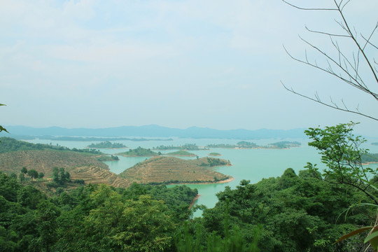 万绿湖