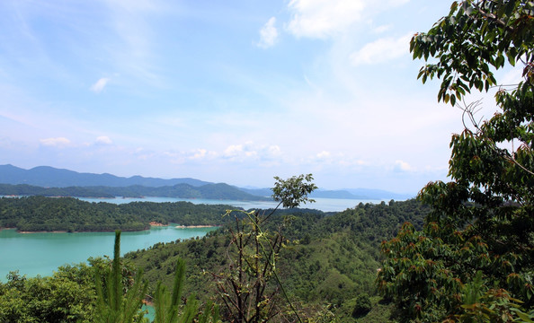 万绿湖