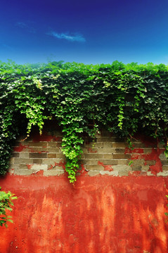 北京城墙红墙宫墙