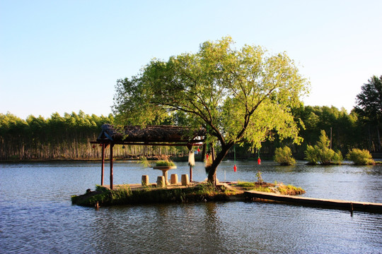 多岛泉小景