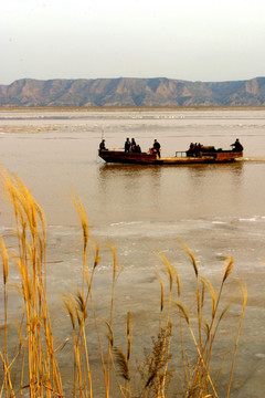 黄河湿地 冬