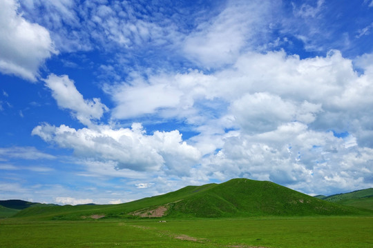 田园风光