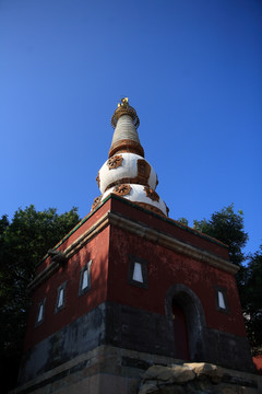 颐和园四大部洲白色喇嘛塔