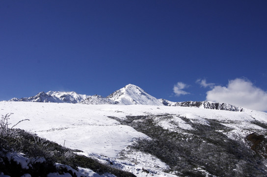 雪塬