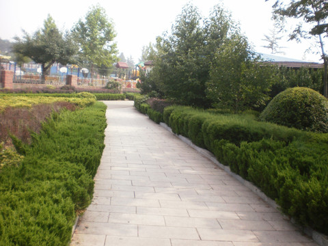 公园小路