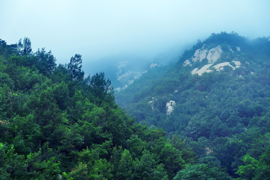 泰山风光