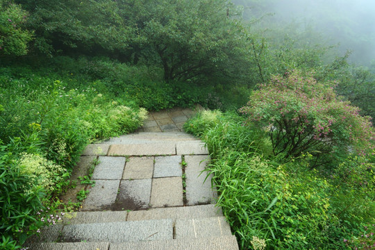 泰山盘道