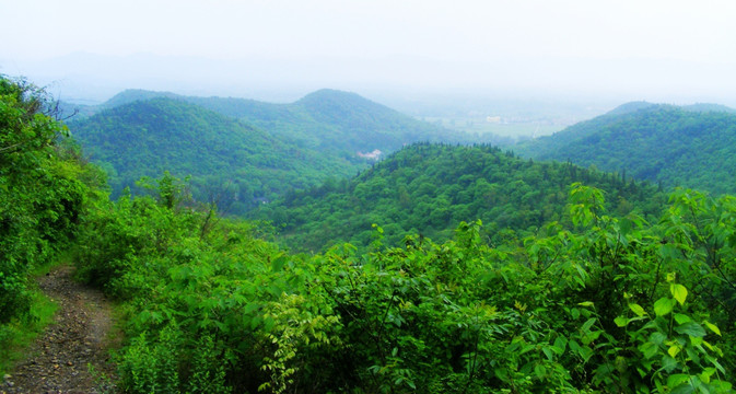 大洪山