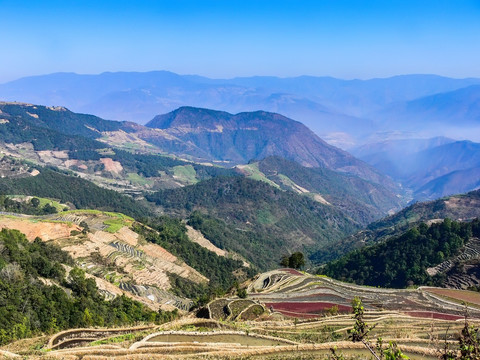 山 梯田