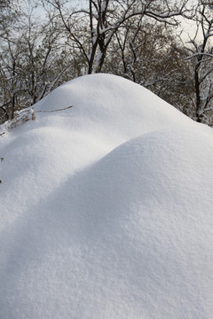 雪