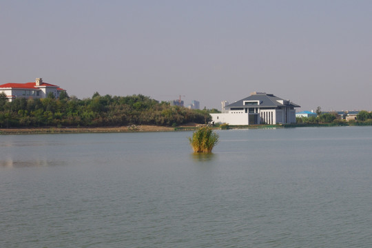 银川阅海