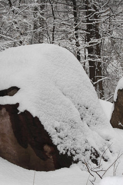 雪