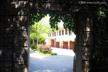 小院绿色