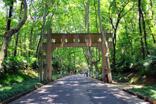 灵谷景区 牌坊 马路