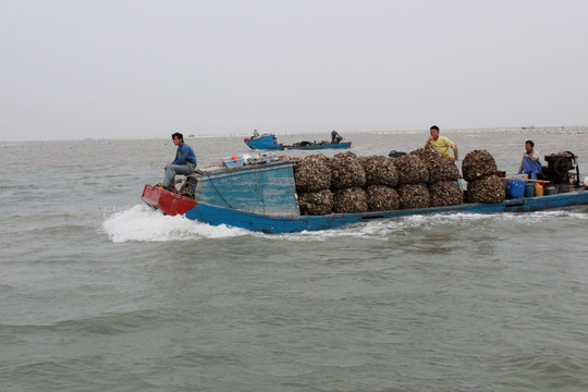 海洋 海滩 渔民 渔船 养殖