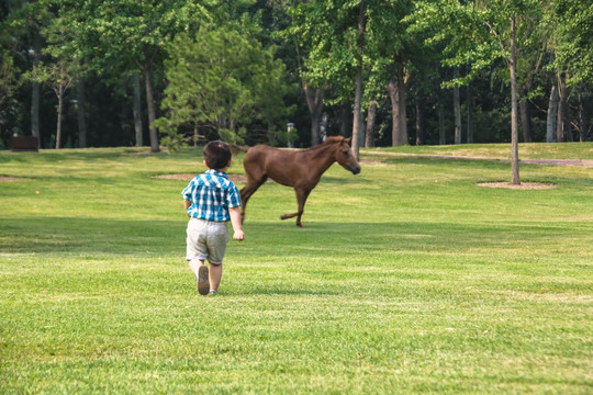 草地上奔跑的男孩