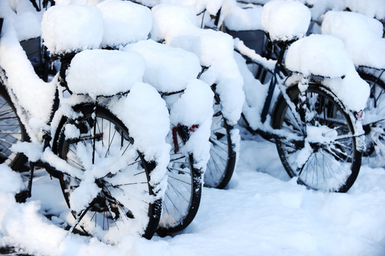 大雪中的自行车