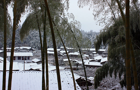 历史名村 翠竹洋 火山口