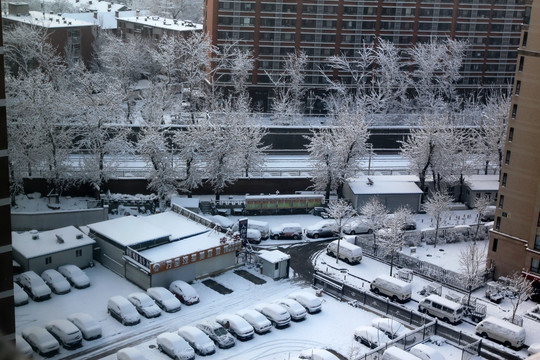 雪景