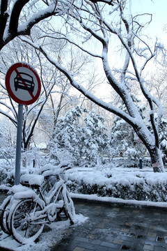 雪停了