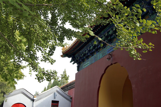 公园中的圆拱门