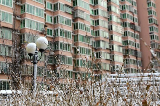 雪后即景