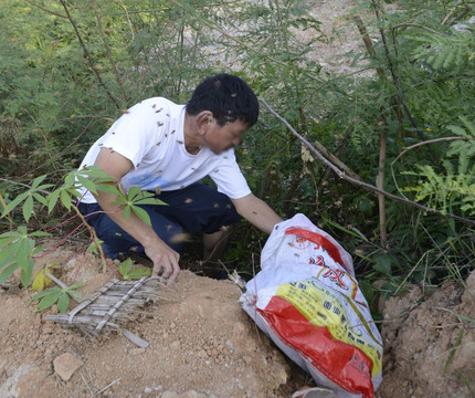 野生蜜蜂 蜂蜜 养蜂 养蜂人