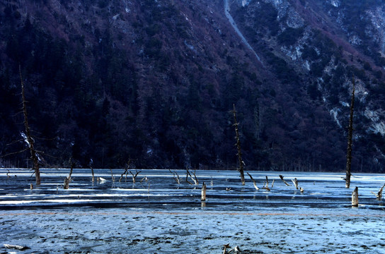 风景 贡卡腹心 巴王海