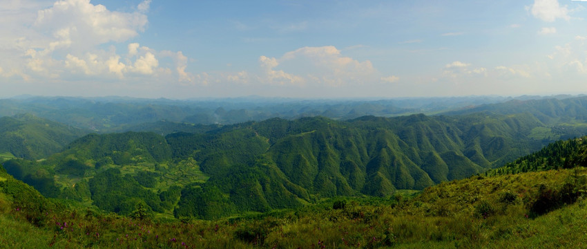 高坡云顶