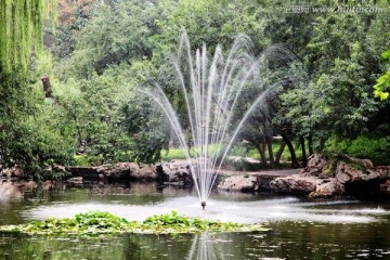 景观园林中的喷泉