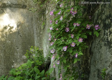 滁州十二景之龙蟠叠翠的摩崖石刻