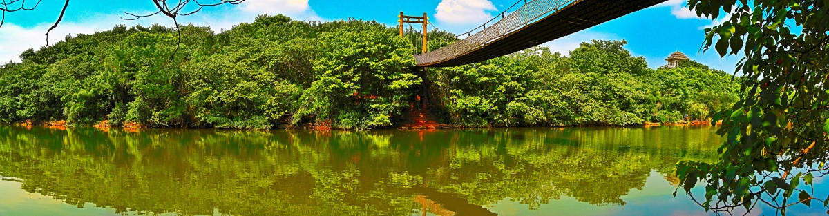大桥 桥梁 全景 景观园林