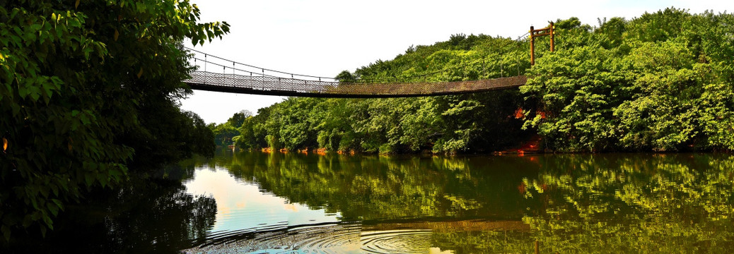 索桥 桥梁 全景 景观园林