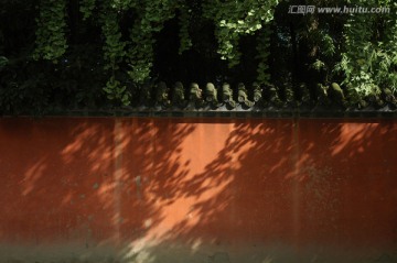 宅院红墙银杏