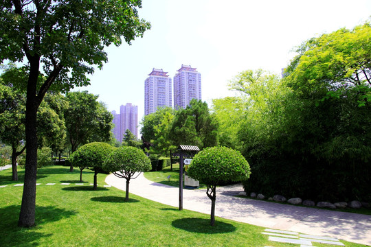 城市草地