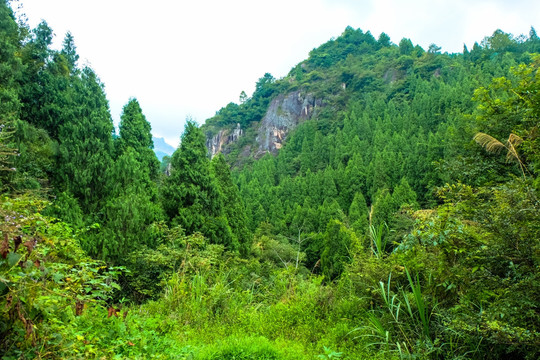 悬崖 山峰