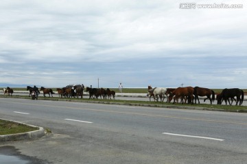 青海湖畔风光