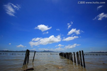 美丽的深圳湾公园