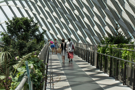 新加坡滨海湾花园 雾林步道
