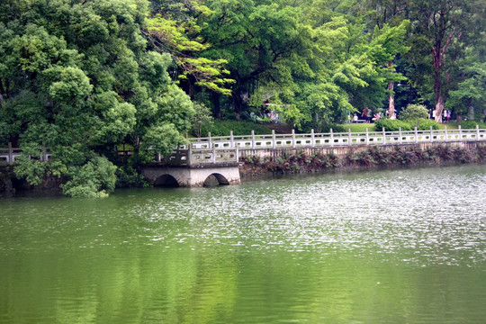湖边桥梁