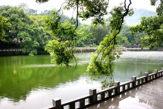 湖泊风光